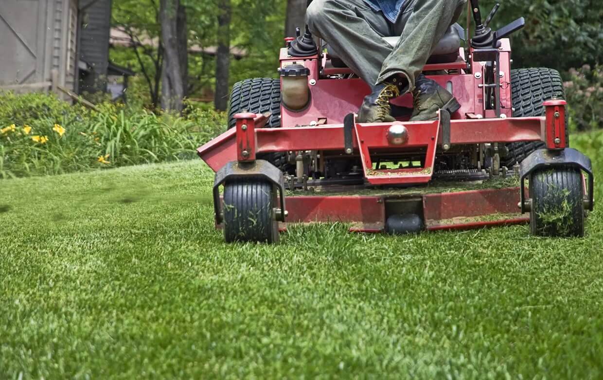 Lawn Mowing